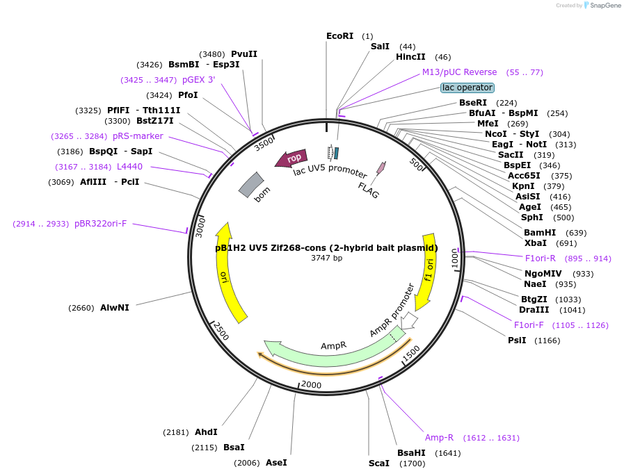 267570_map