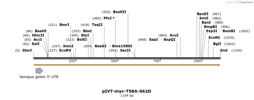 267647_map