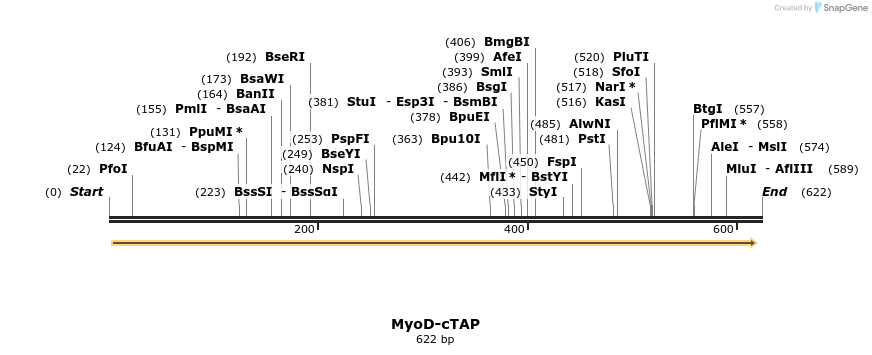 26766_map