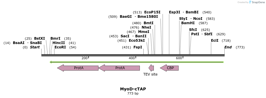 26767_map