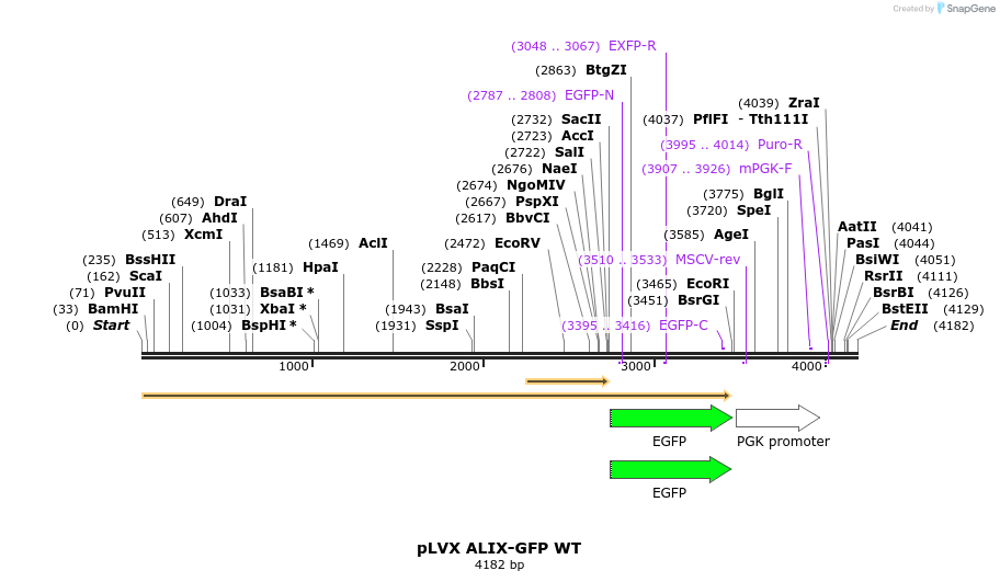 267744_map