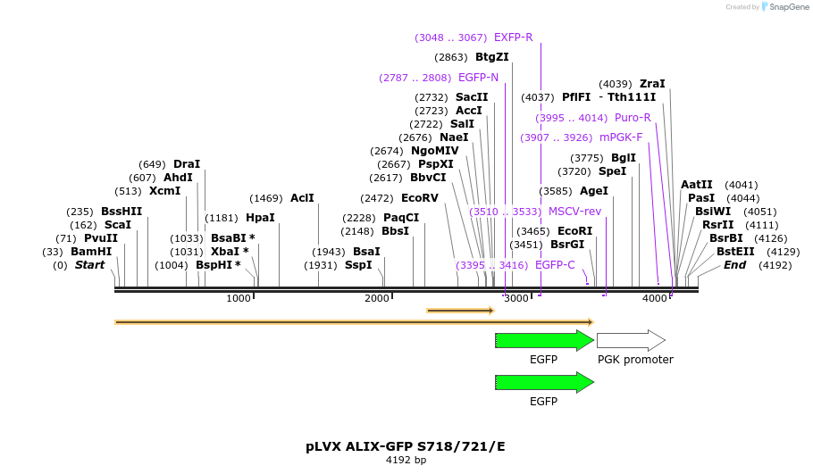 267748_map