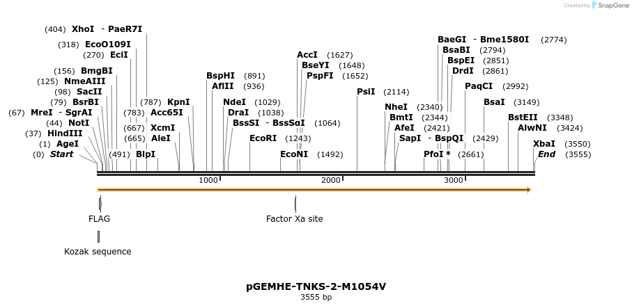 267749_map
