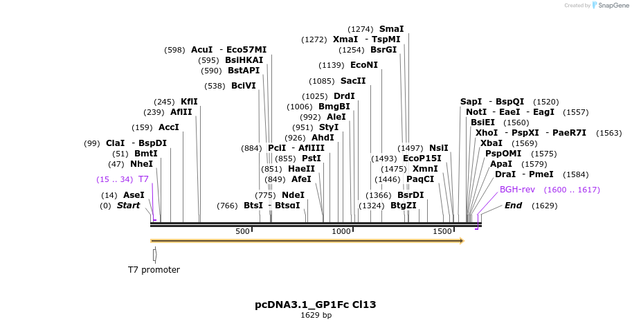267767_map
