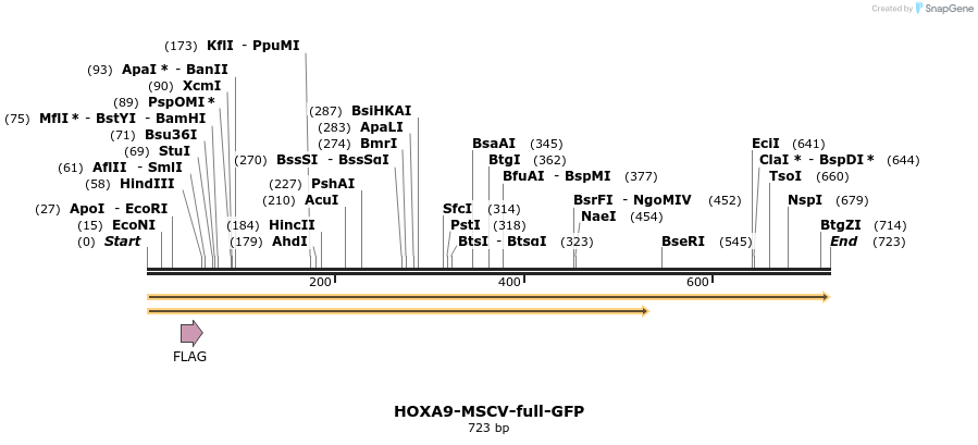 26779_map