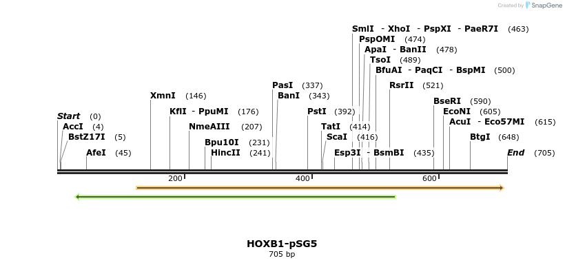 26784_map