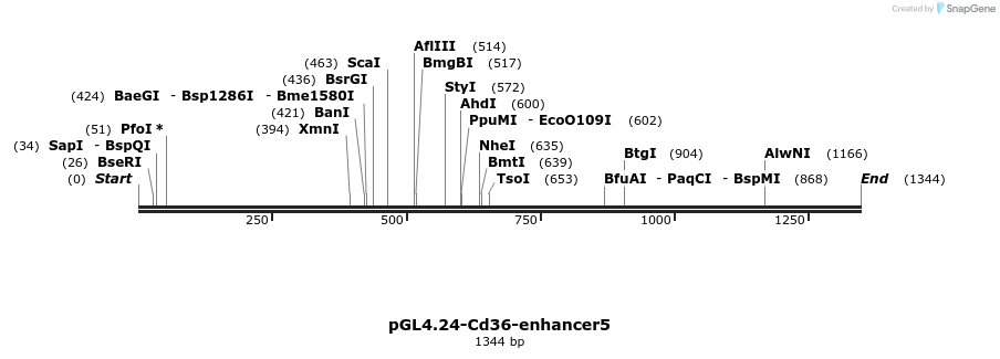 267920_map