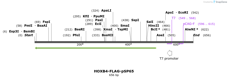 26794_map