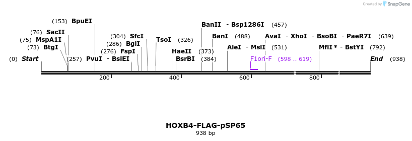 26795_map