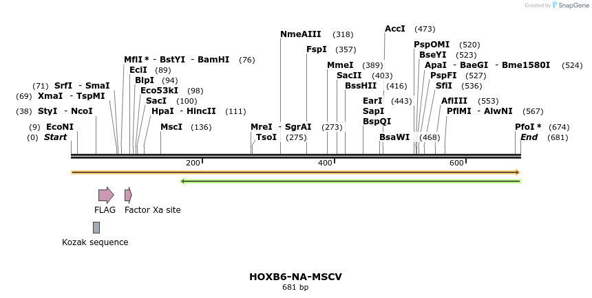 26796_map