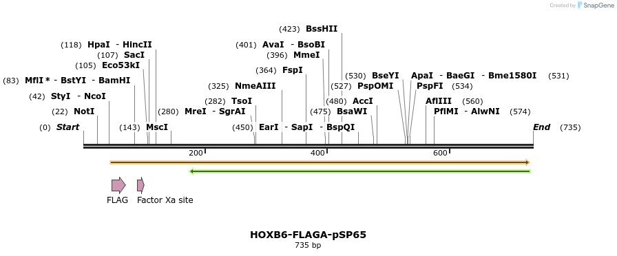 26798_map