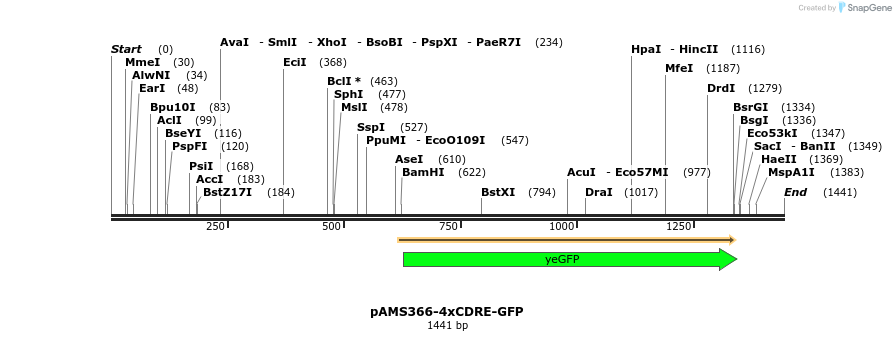 267982_map