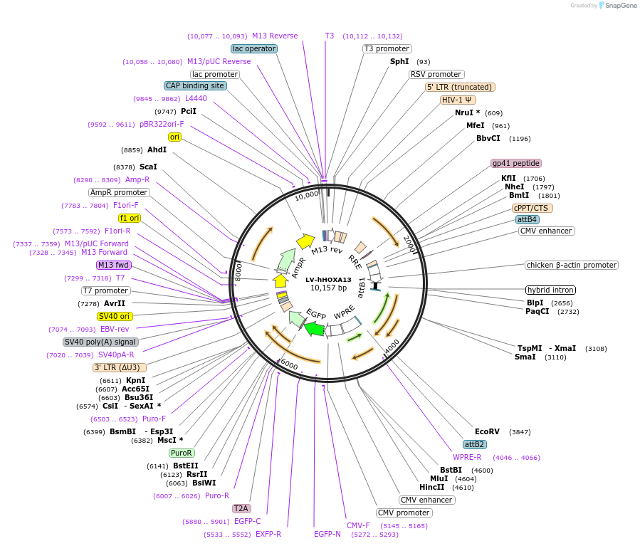 267983_map