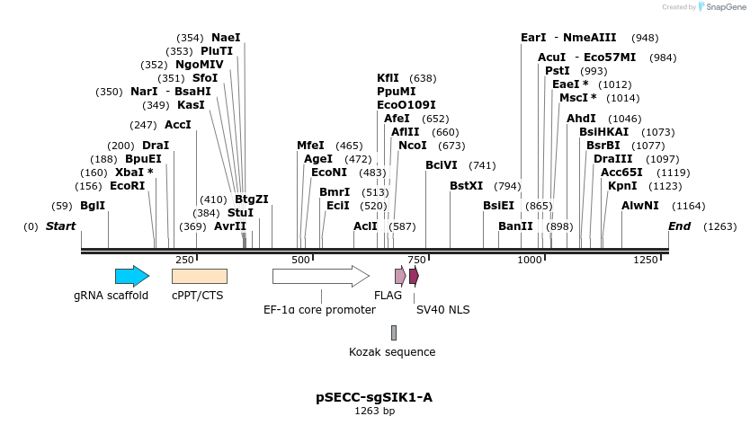 267989_map