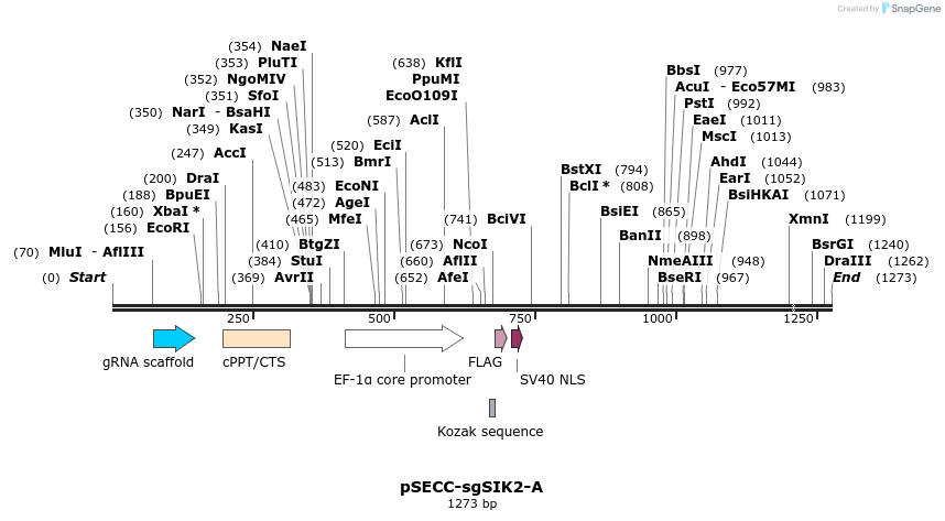 267994_map