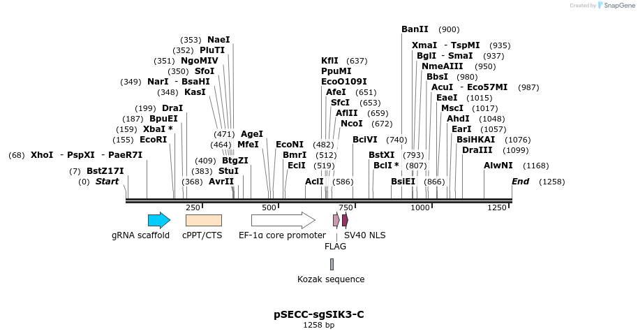 267998_map