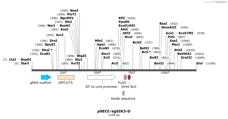 267999_map