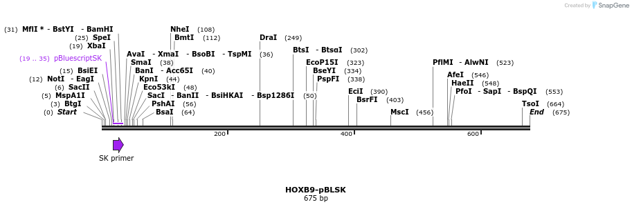 26801_map