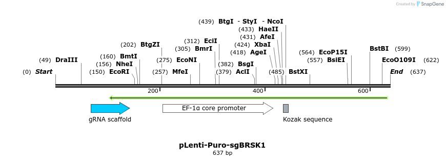 268010_map