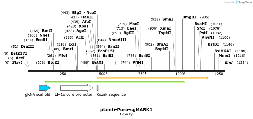 268012_map