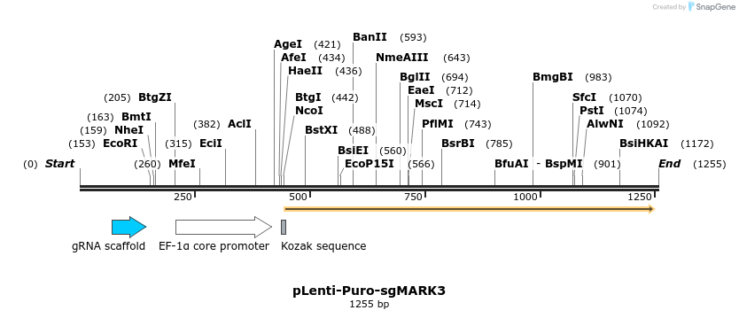 268014_map