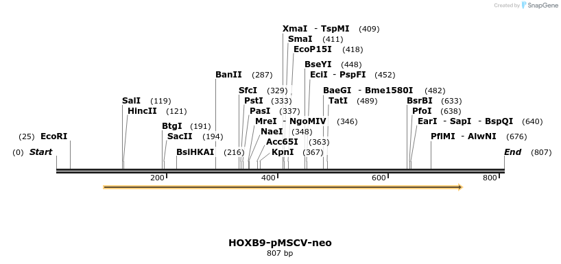 26802_map