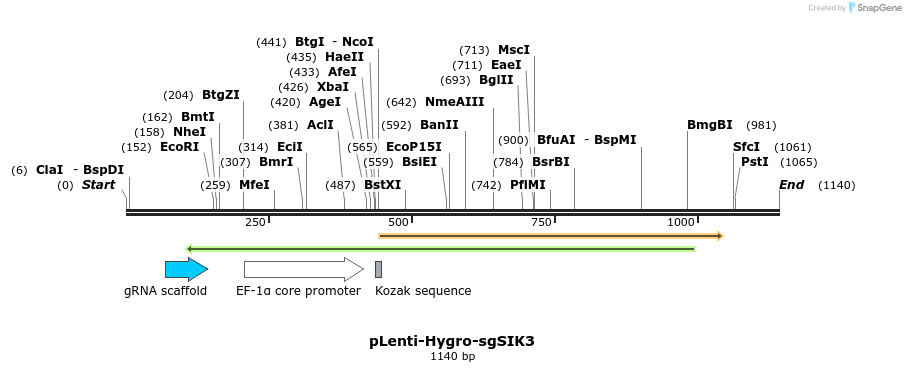 268023_map