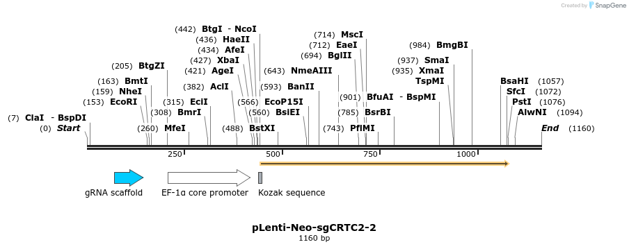 268027_map