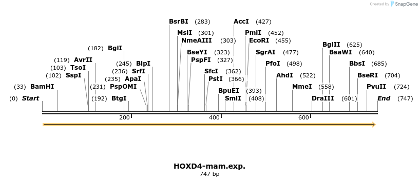 26808_map
