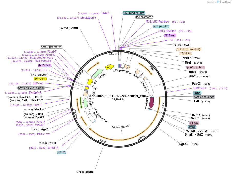 268080_map