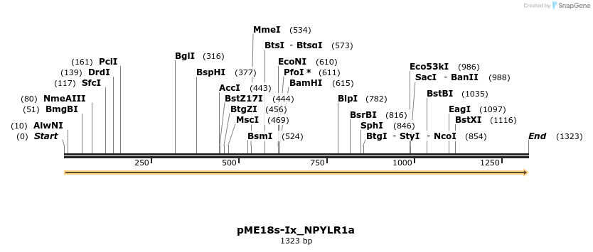 268089_map