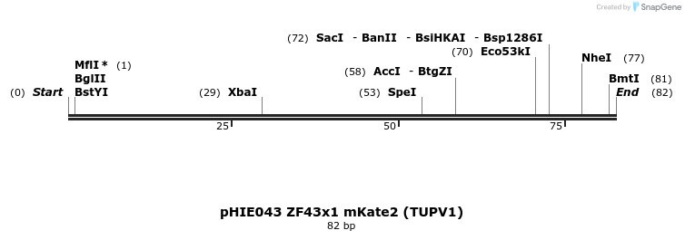 268105_map