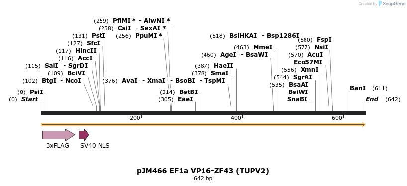 268119_map
