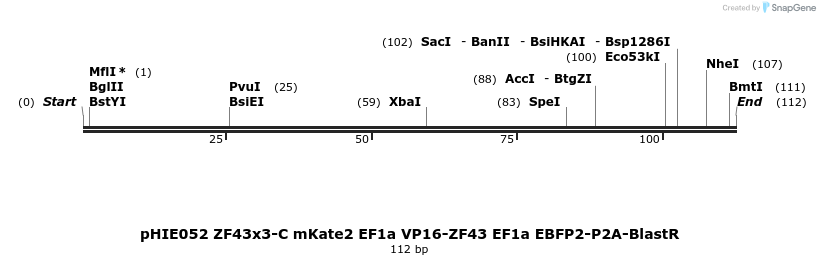 268127_map