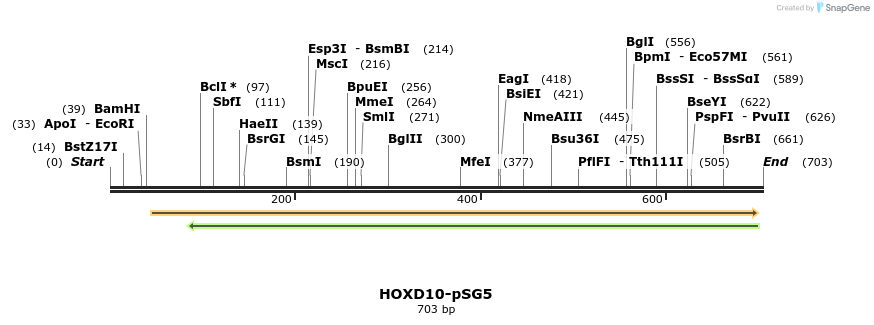 26813_map
