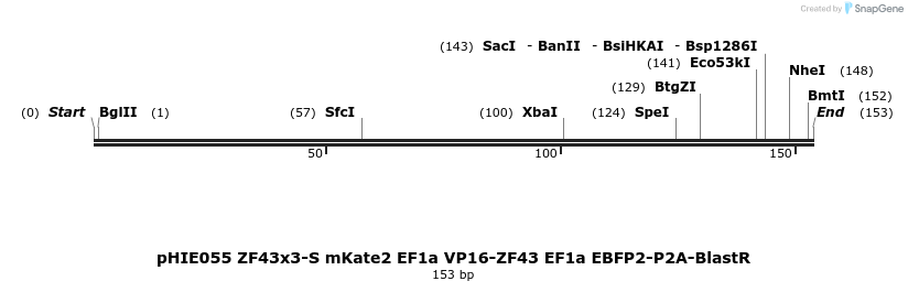 268136_map