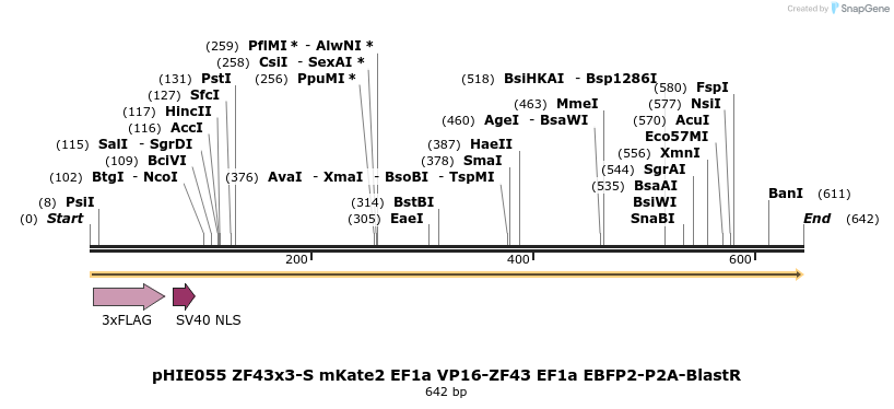 268137_map