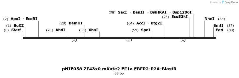 268145_map