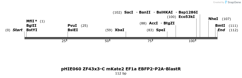 268149_map