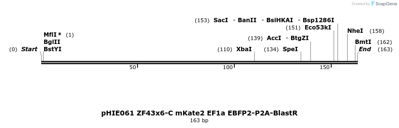 268151_map