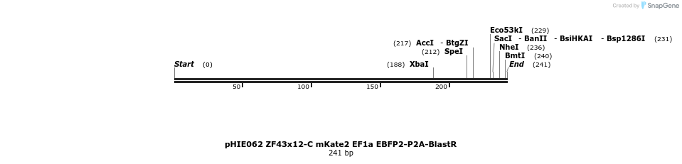 268153_map