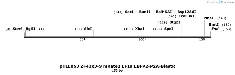 268155_map