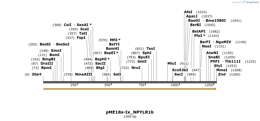 268162_map