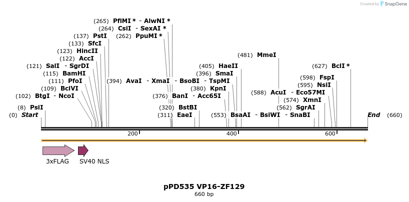 268203_map