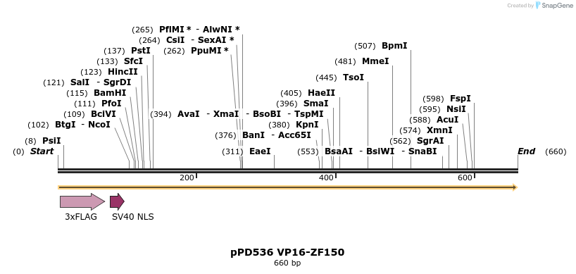 268205_map
