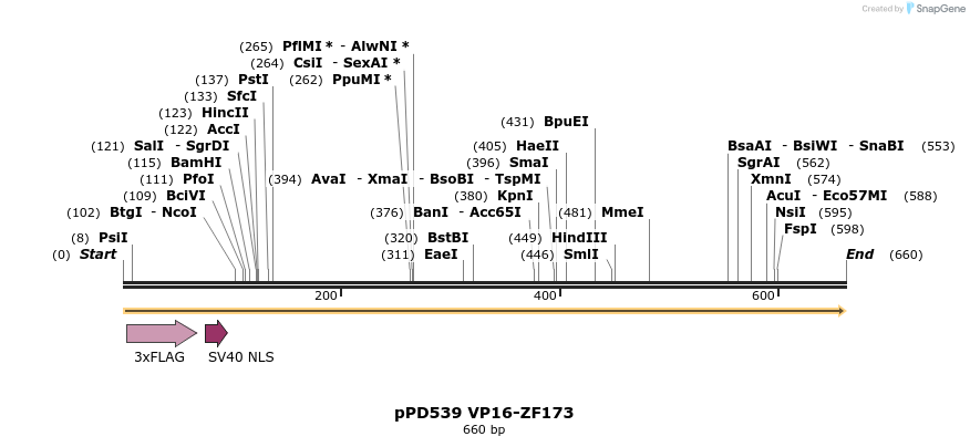 268213_map