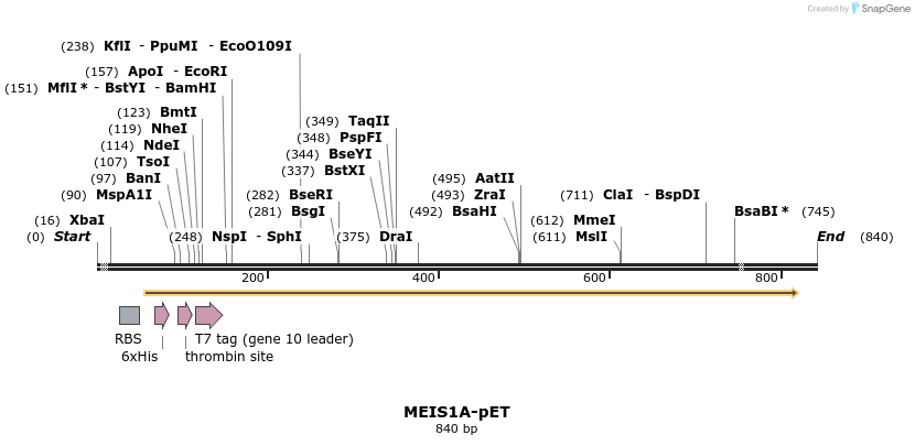 26822_map