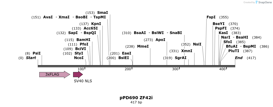 268225_map