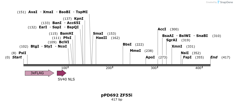 268231_map