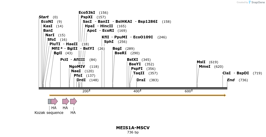 26824_map